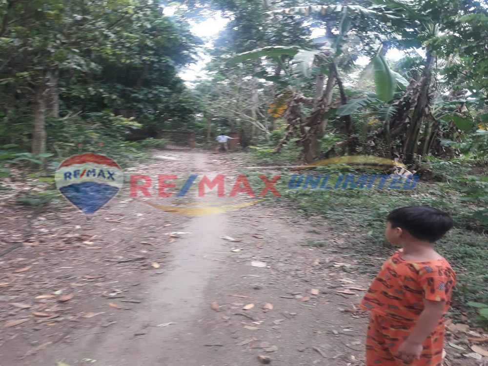 PD0121 Mataas Na Kahoy Lipa, Batangas Farm Lot For Sale Remax Unlimited