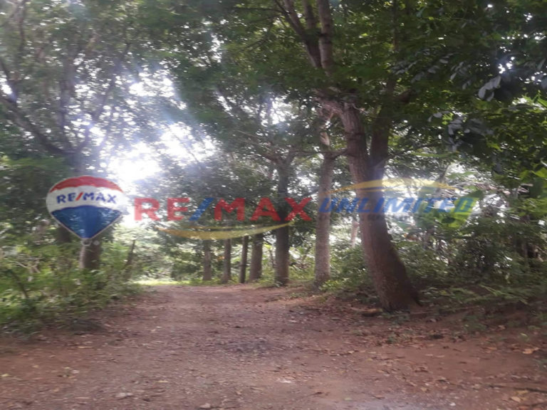 PD0121 Mataas Na Kahoy Lipa, Batangas Farm Lot For Sale Remax Unlimited