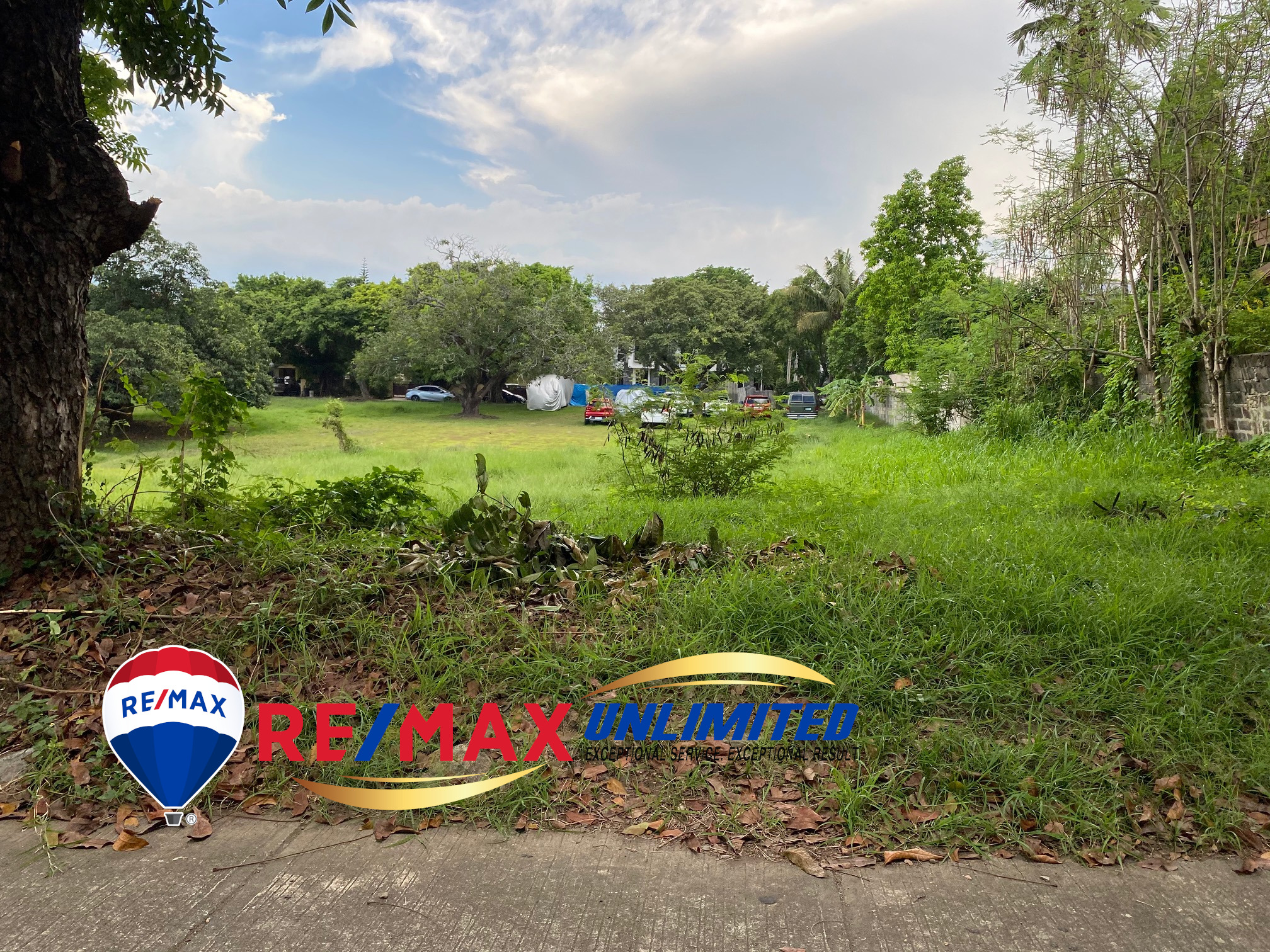 Pd0234 – Ayala Alabang Village Vacant Residential Lot For Sale – Remax 