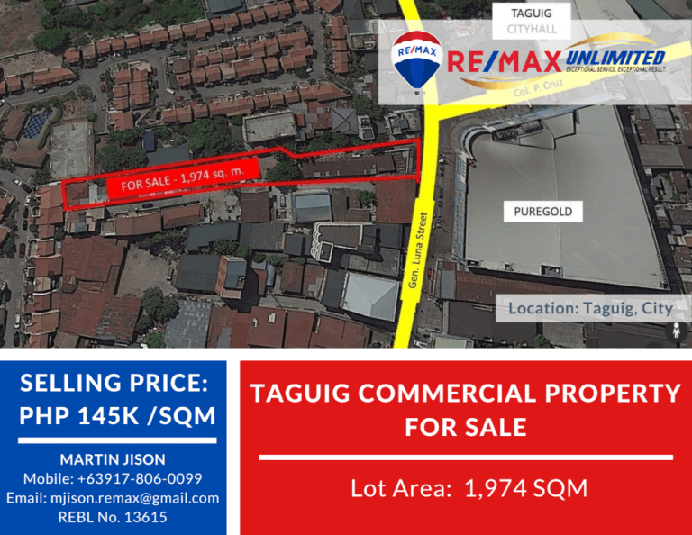 PDM026 Taguig Commercial Property For Sale Remax Unlimited