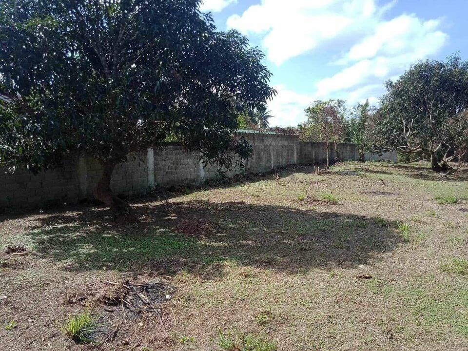 FOR SALE: INDANG CAVITE FARM LOT – Remax Unlimited