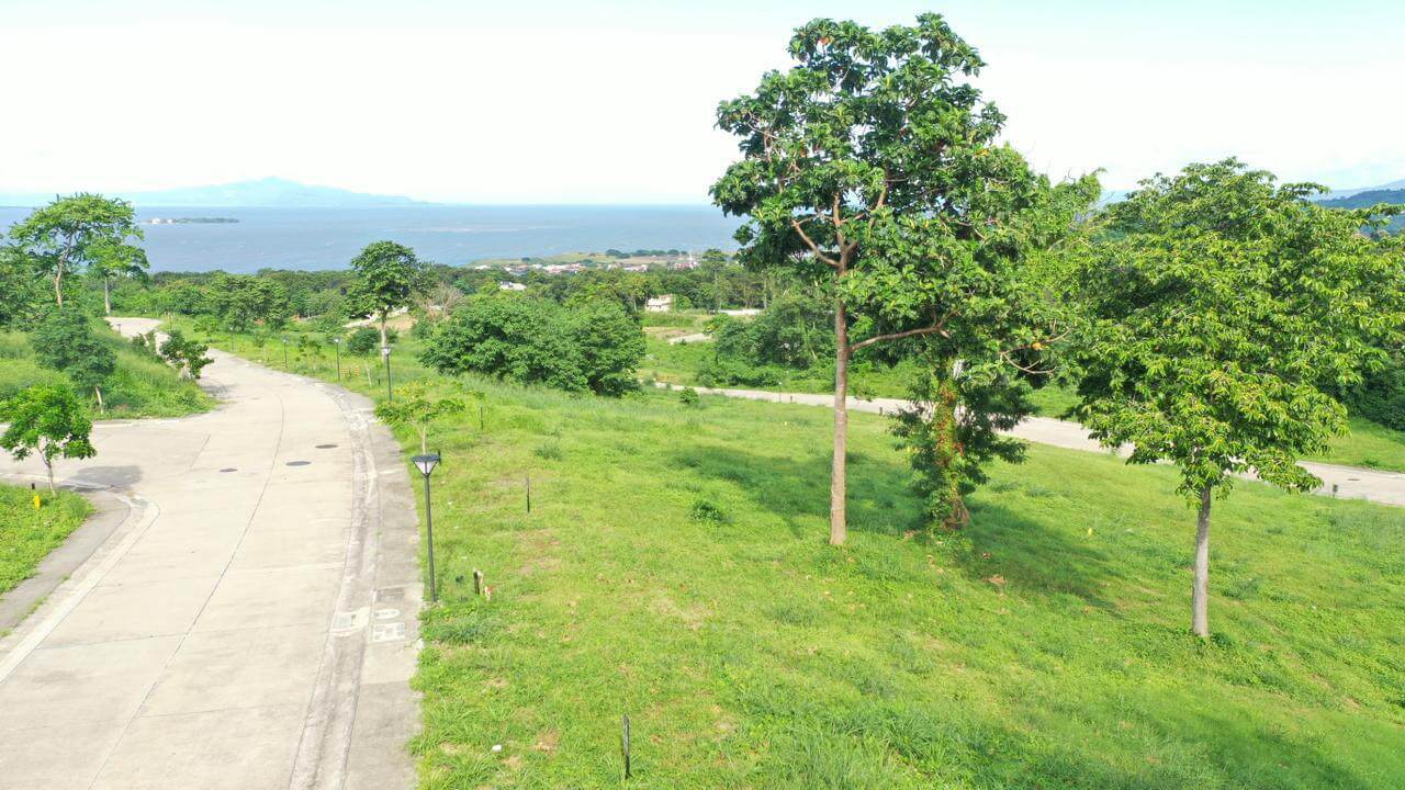 LOT FOR SALE AYALA GREENFIELD ESTATES CALAMBA, LAGUNA Php43,500/sqm